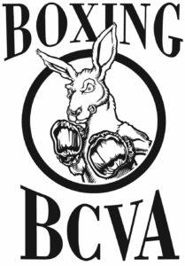 Logo BCVA